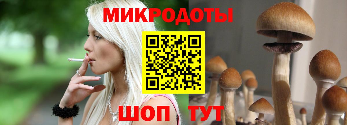 Галлюциногенные грибы GOLDEN TEACHER Белорецк